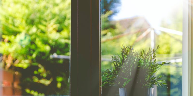 A kitchen window looking out across a green garden with sunlight coming through.