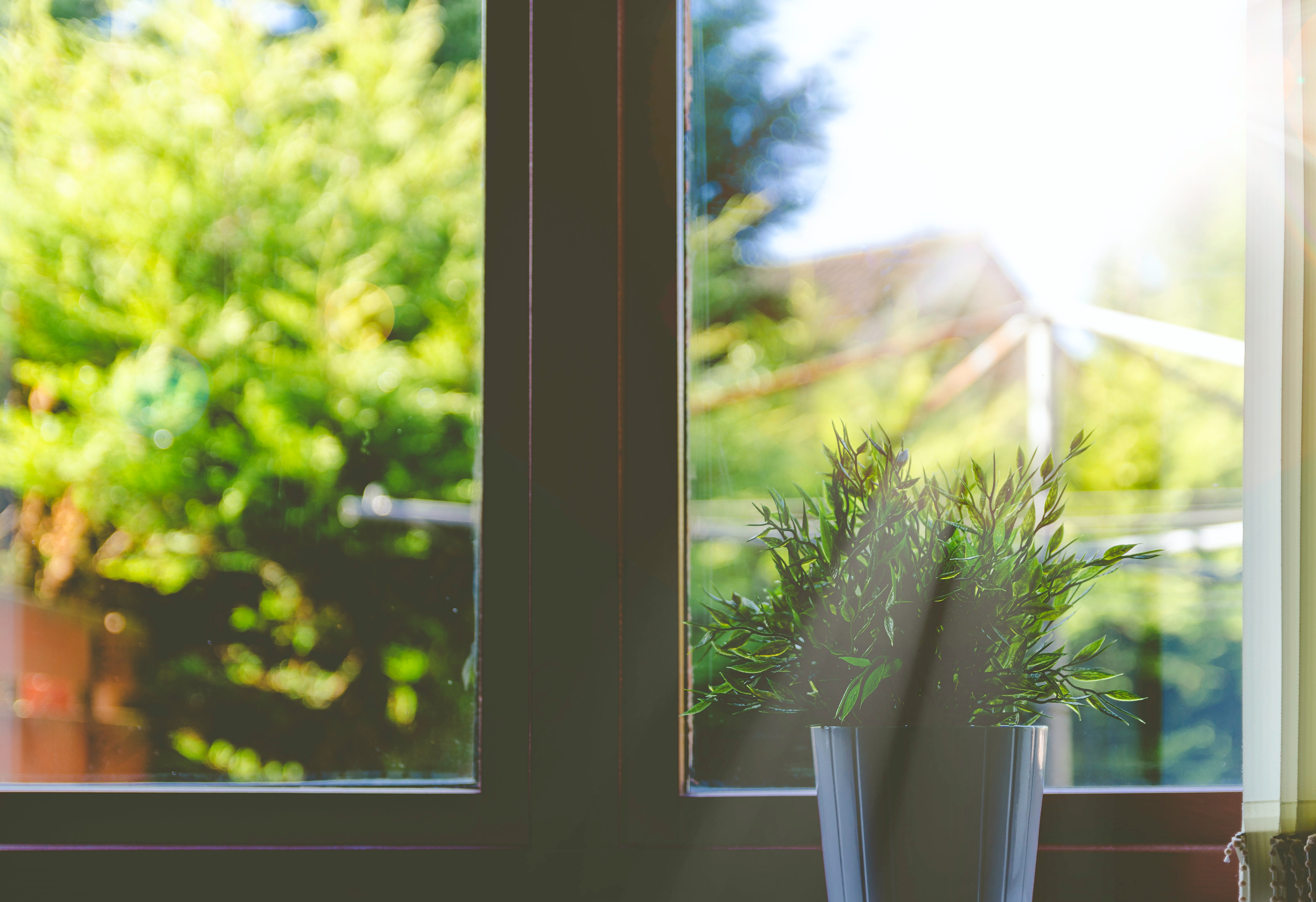 A kitchen window looking out across a green garden with sunlight coming through.