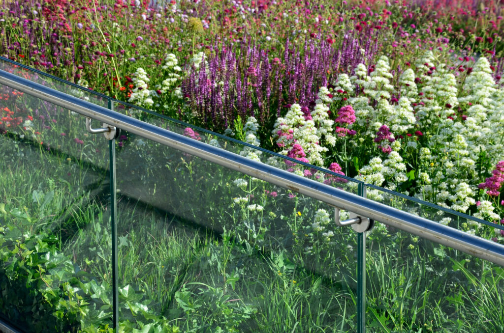 A glass balustrade edging a flowerbed in bloom.