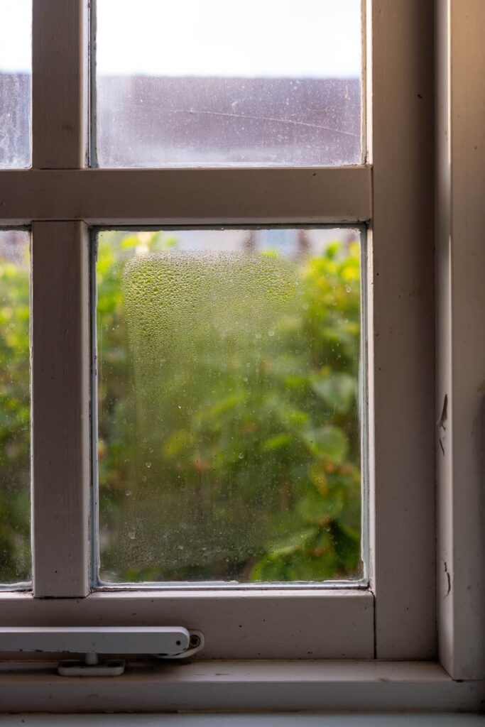 Fogged window pane